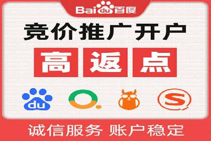 SEM代理助力品牌：案例解析与优化策略